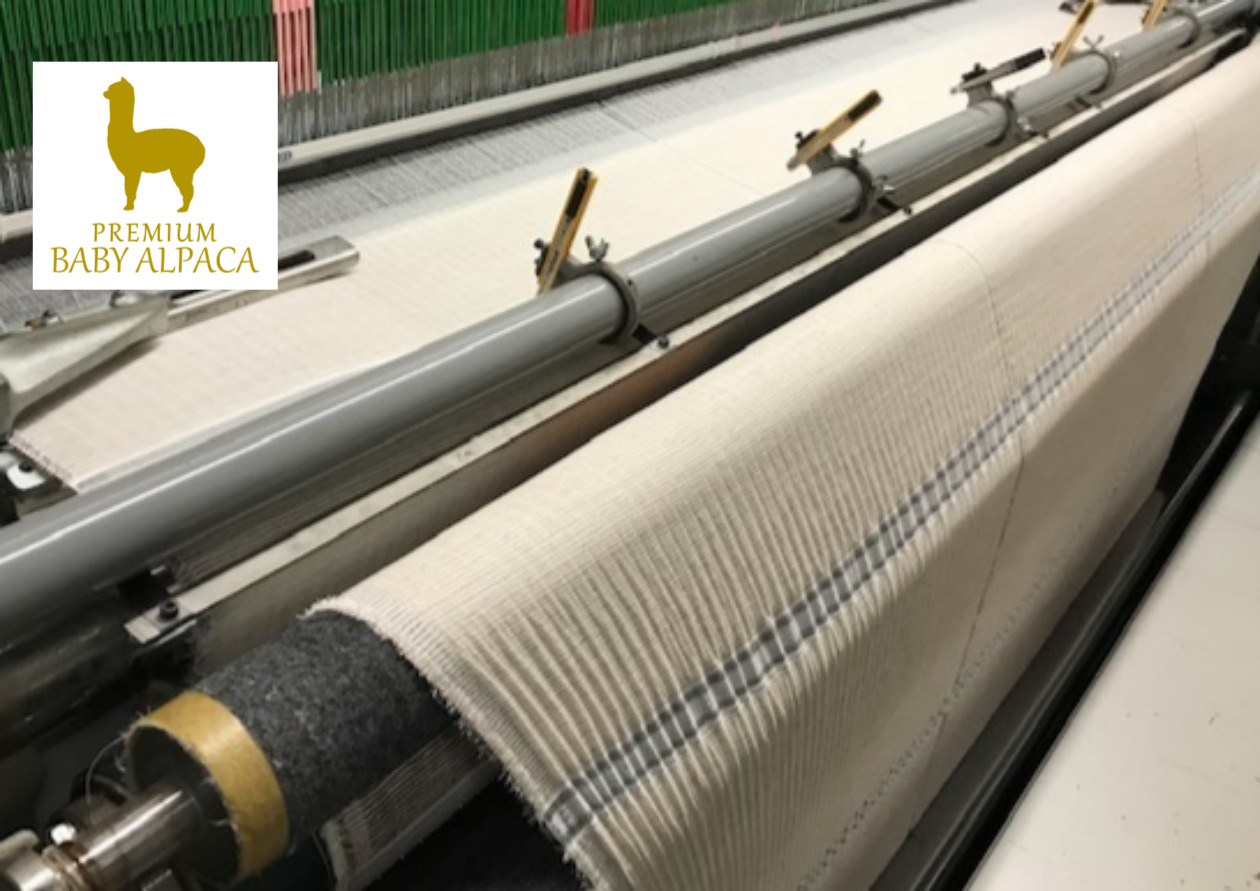 ベビーアルパカ