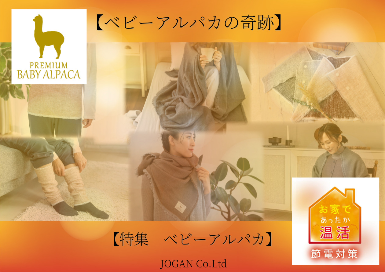 ベビーアルパカ