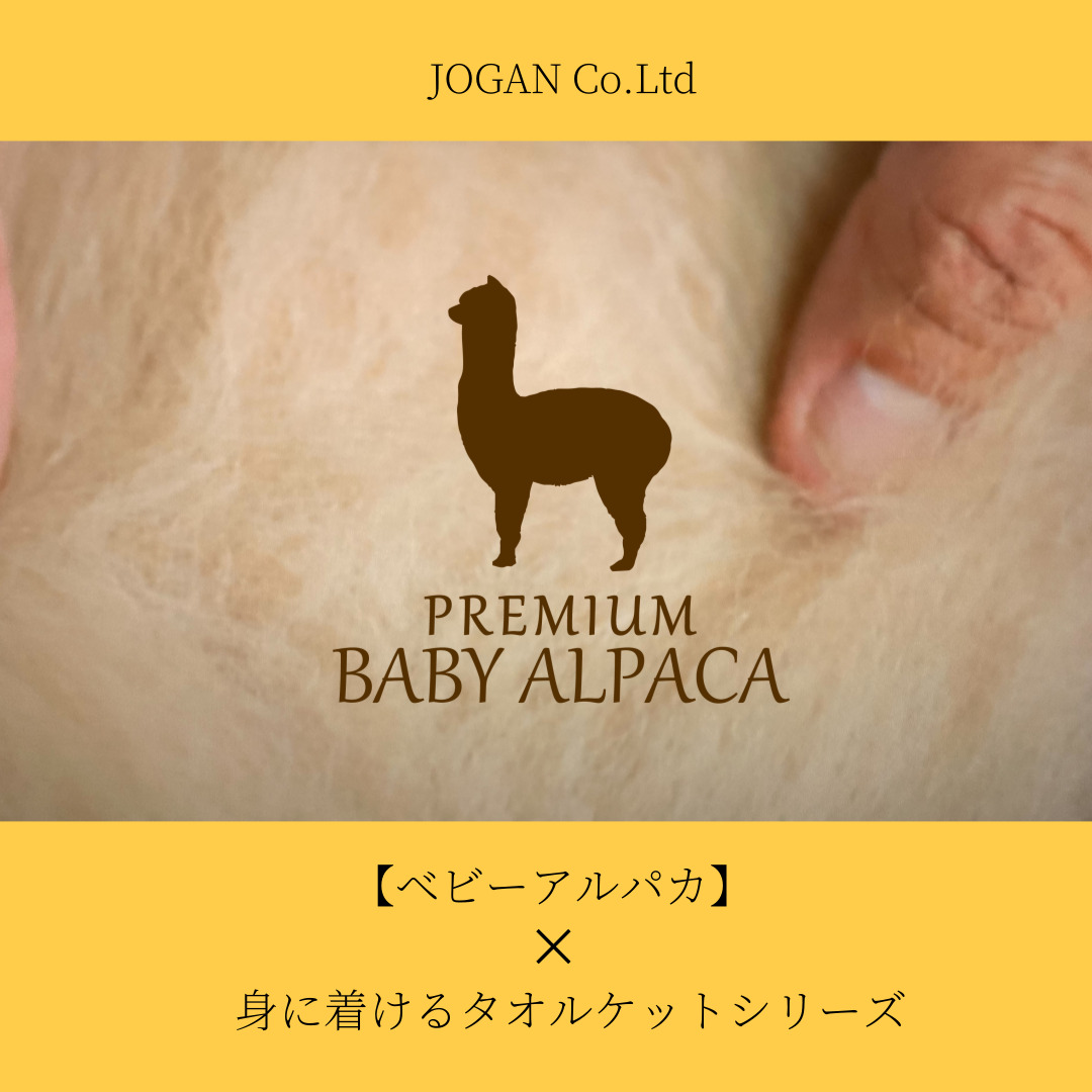 ベビーアルパカ