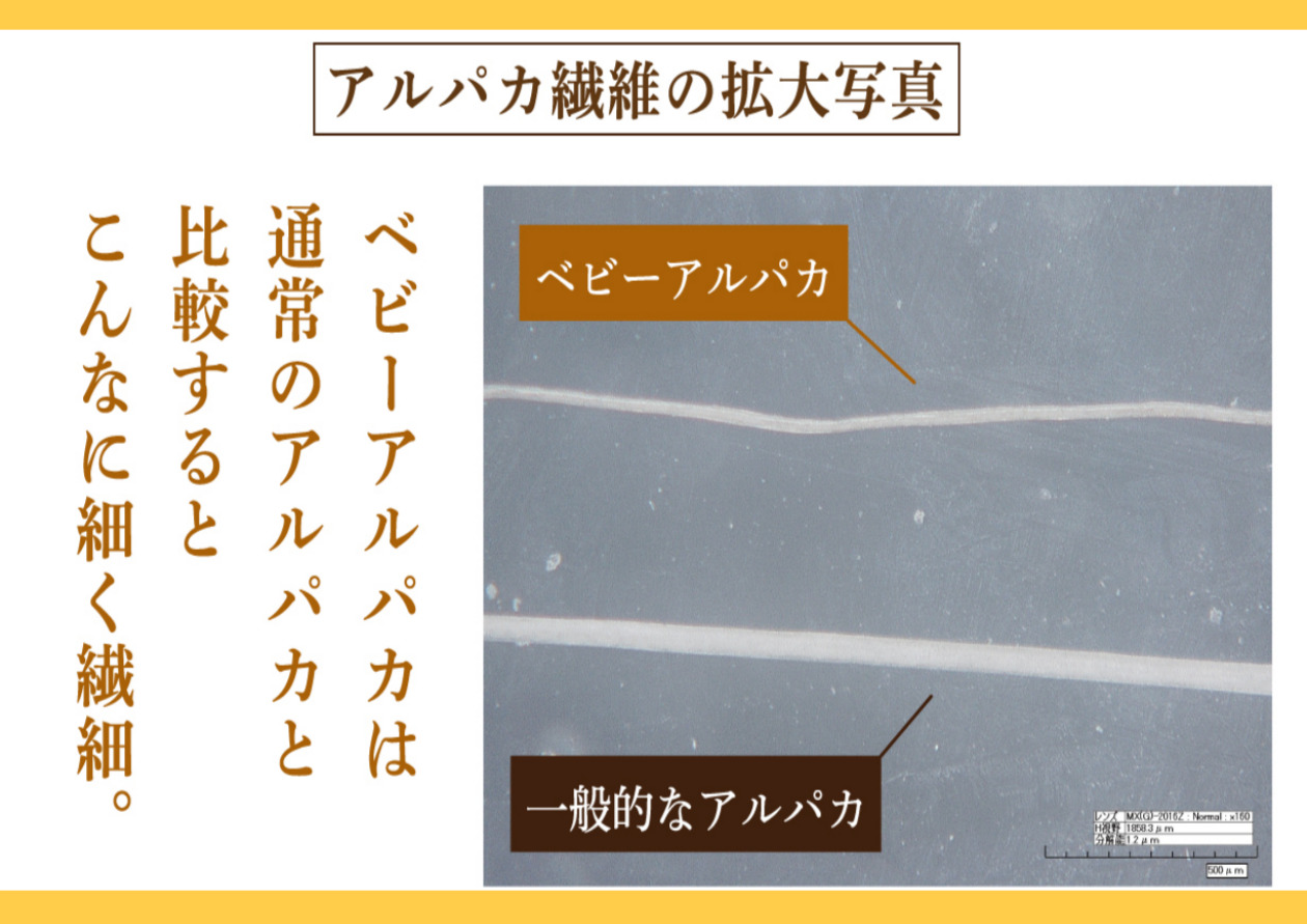 ベビーアルパカ