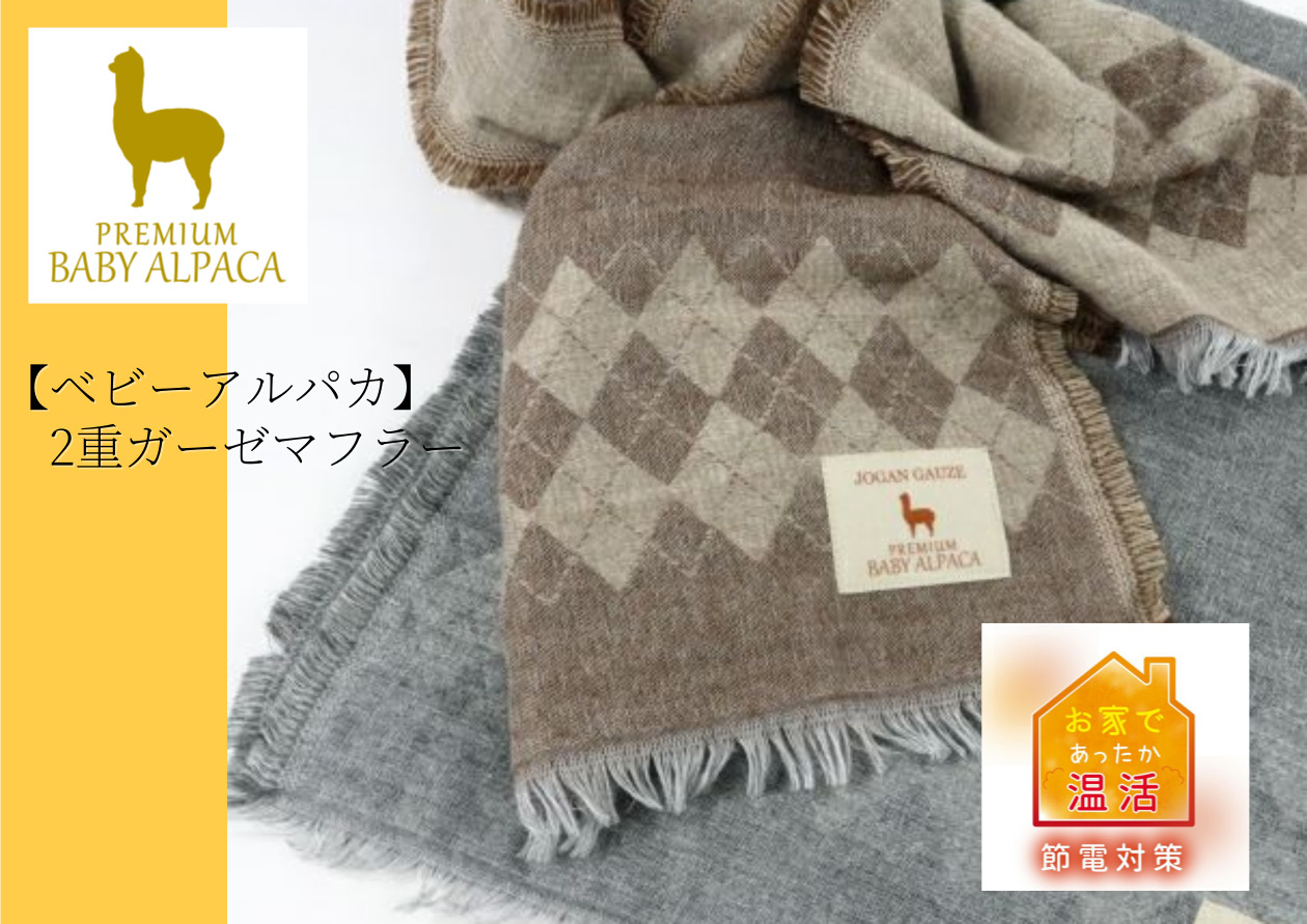 JOGAN GAUZE ベビーアルパカ タオルケット 110x140cm 新品 アルパカシリーズ