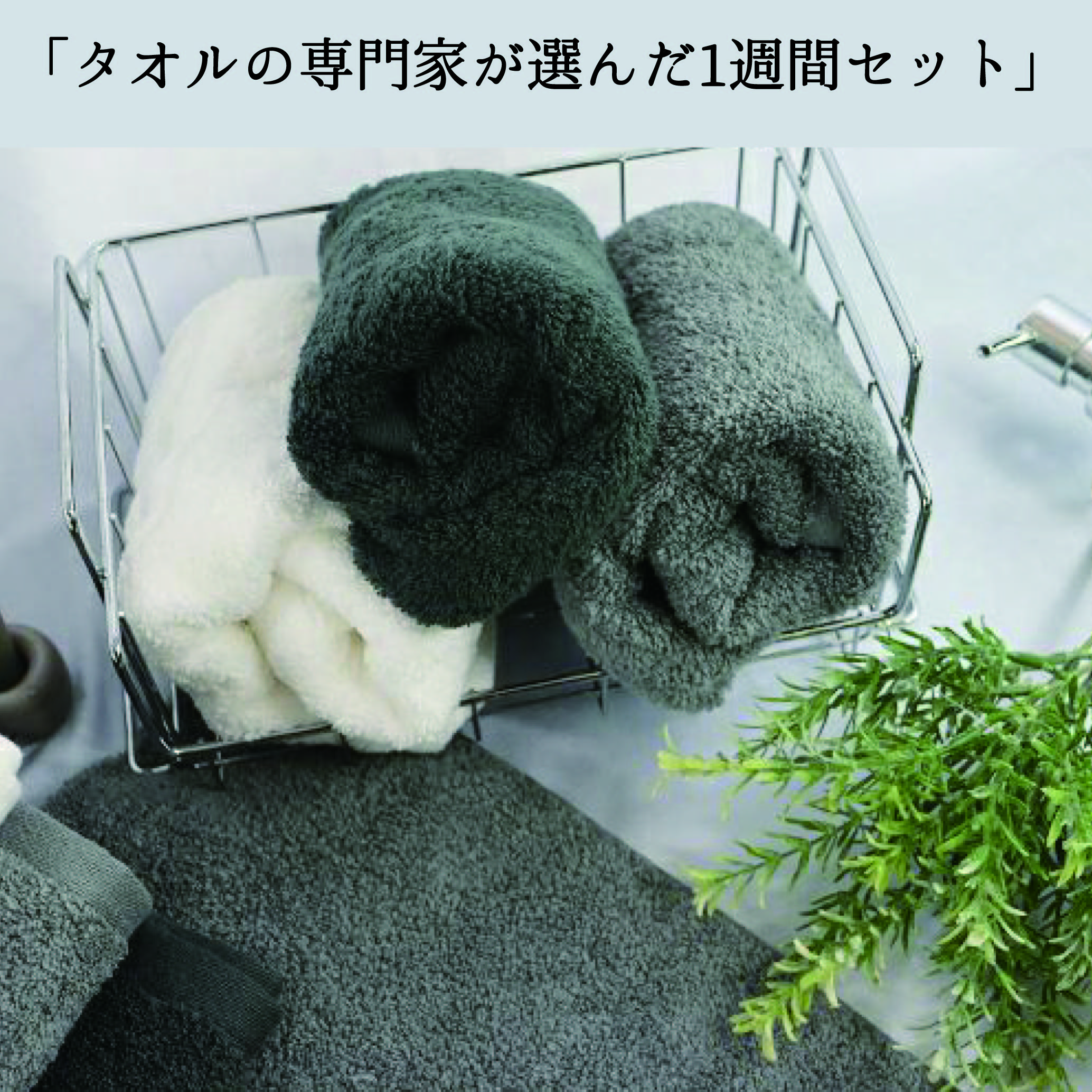 タオルセット特集