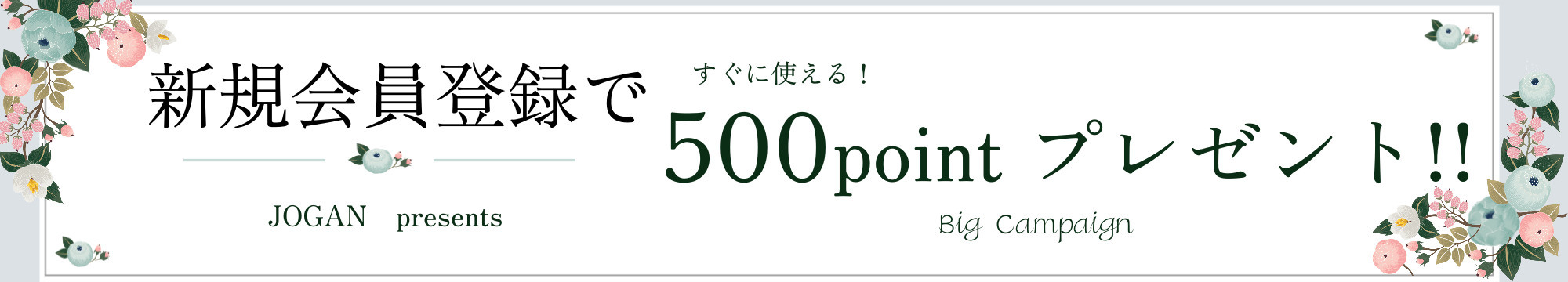 新規会員ポイントキャンペーン