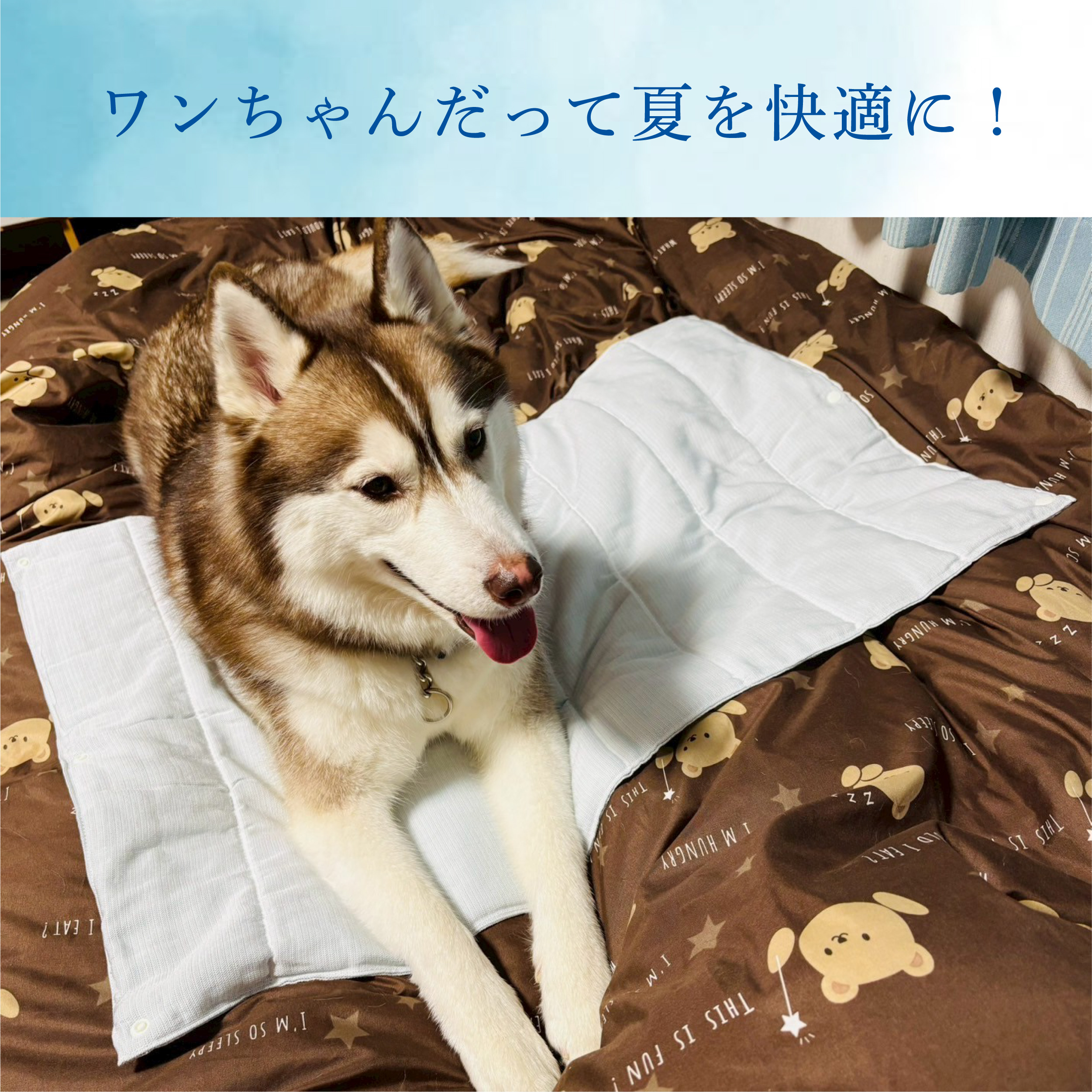 ペット用まくら