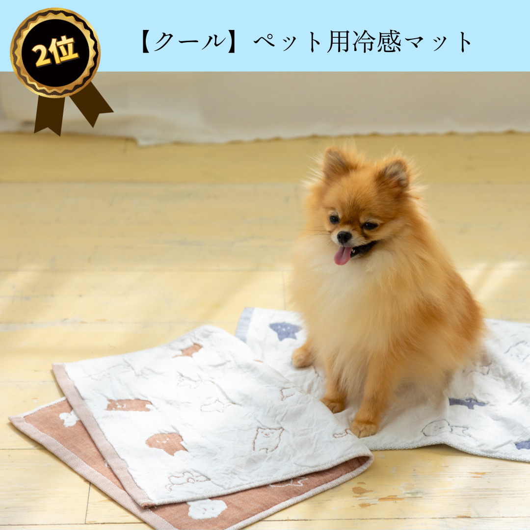 ランキング03312.jpg