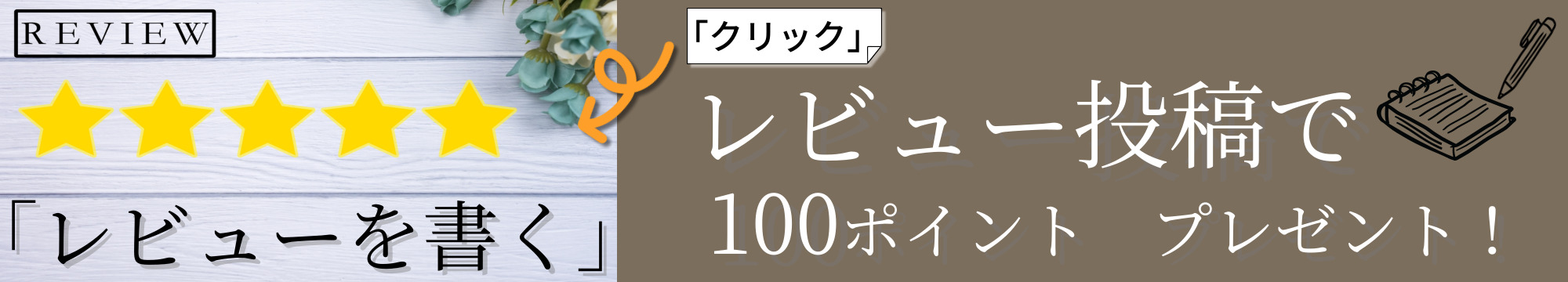 レビューを書く